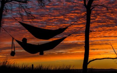 Having A Relaxing ‘Unplugged’ Day