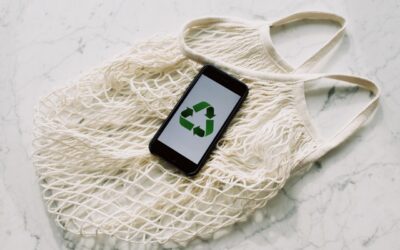 Steps To Take Towards Living A Green Lifestyle 